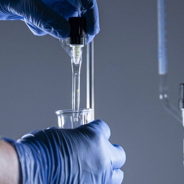 image 533-min image 533-min